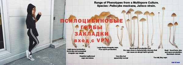 мдпв Нефтекумск