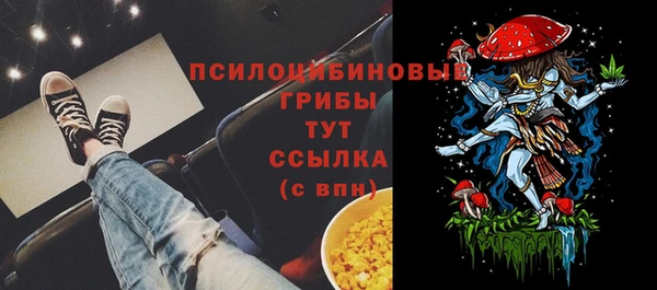 сатива Киреевск