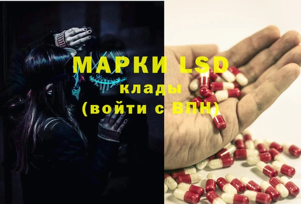 ПСИЛОЦИБИНОВЫЕ ГРИБЫ Кинешма